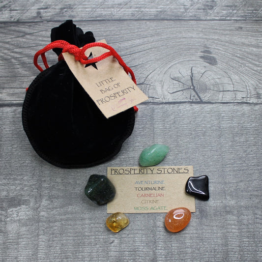 Little Bag of PROSPERITY image 0