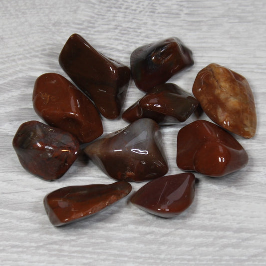 PETRIFIED WOOD Tumblestone image 0