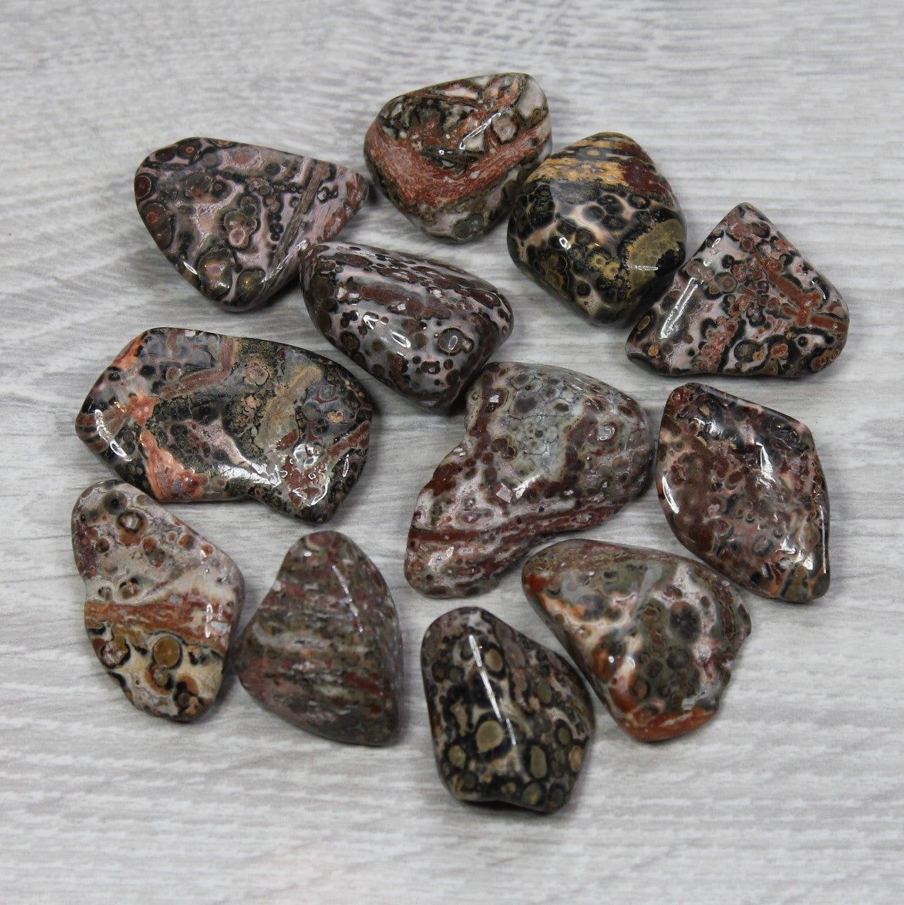 LEOPARDSKIN JASPER Tumblestone image 0