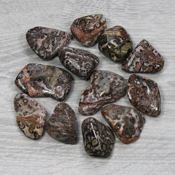 LEOPARDSKIN JASPER Tumblestone image 0