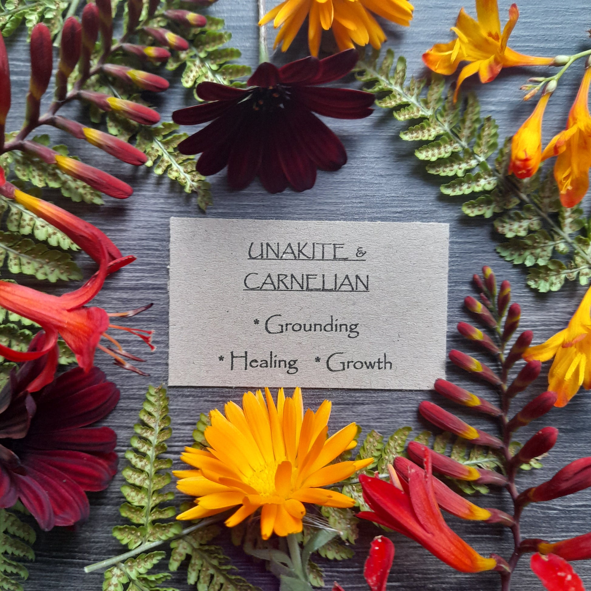 CARNELIAN & UNAKITE Earrings - Sterling Silver image 4