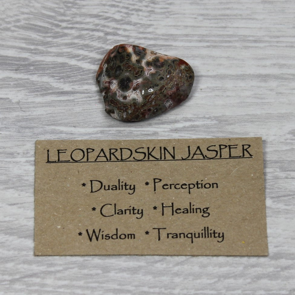 LEOPARDSKIN JASPER Tumblestone image 1