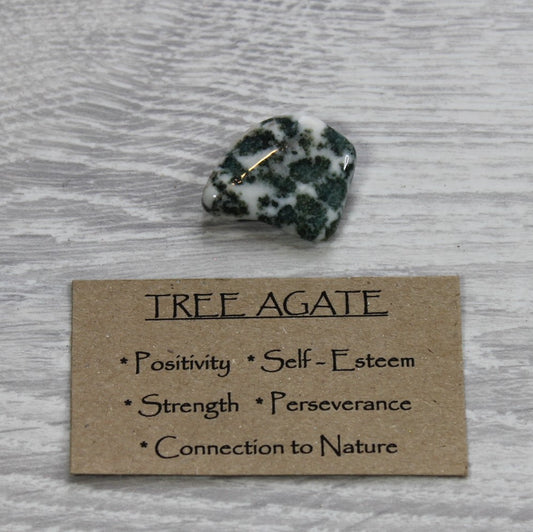 TREE AGATE Tumblestone image 1