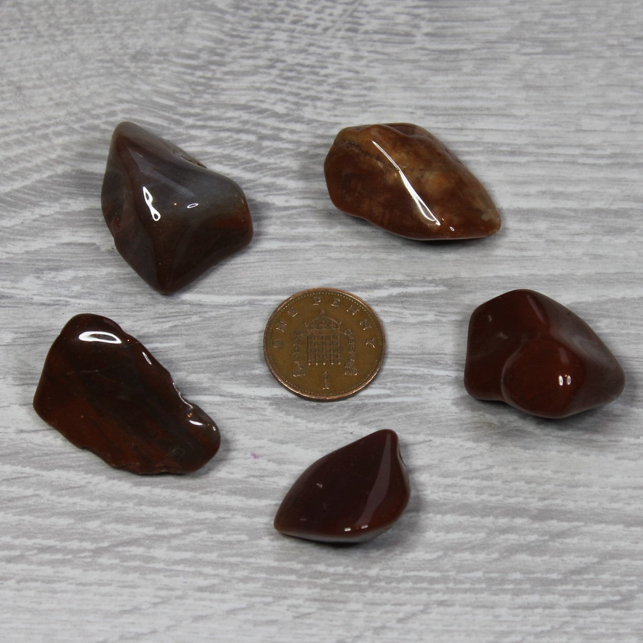 PETRIFIED WOOD Tumblestone image 2