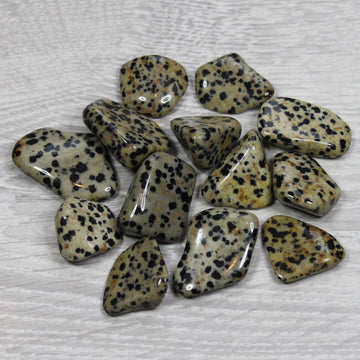 DALMATIAN JASPER Tumblestone image 0
