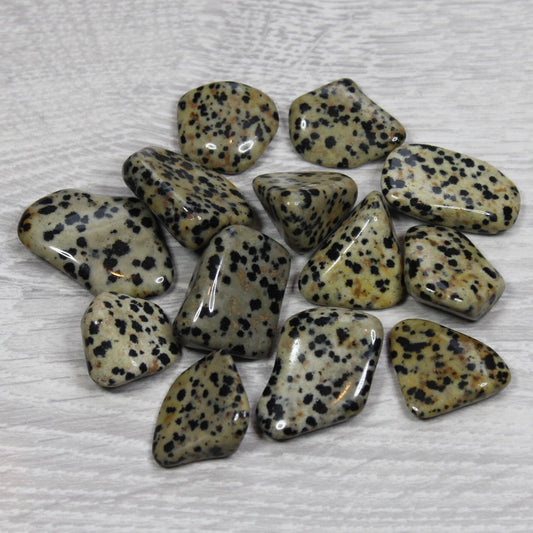 DALMATIAN JASPER Tumblestone image 0