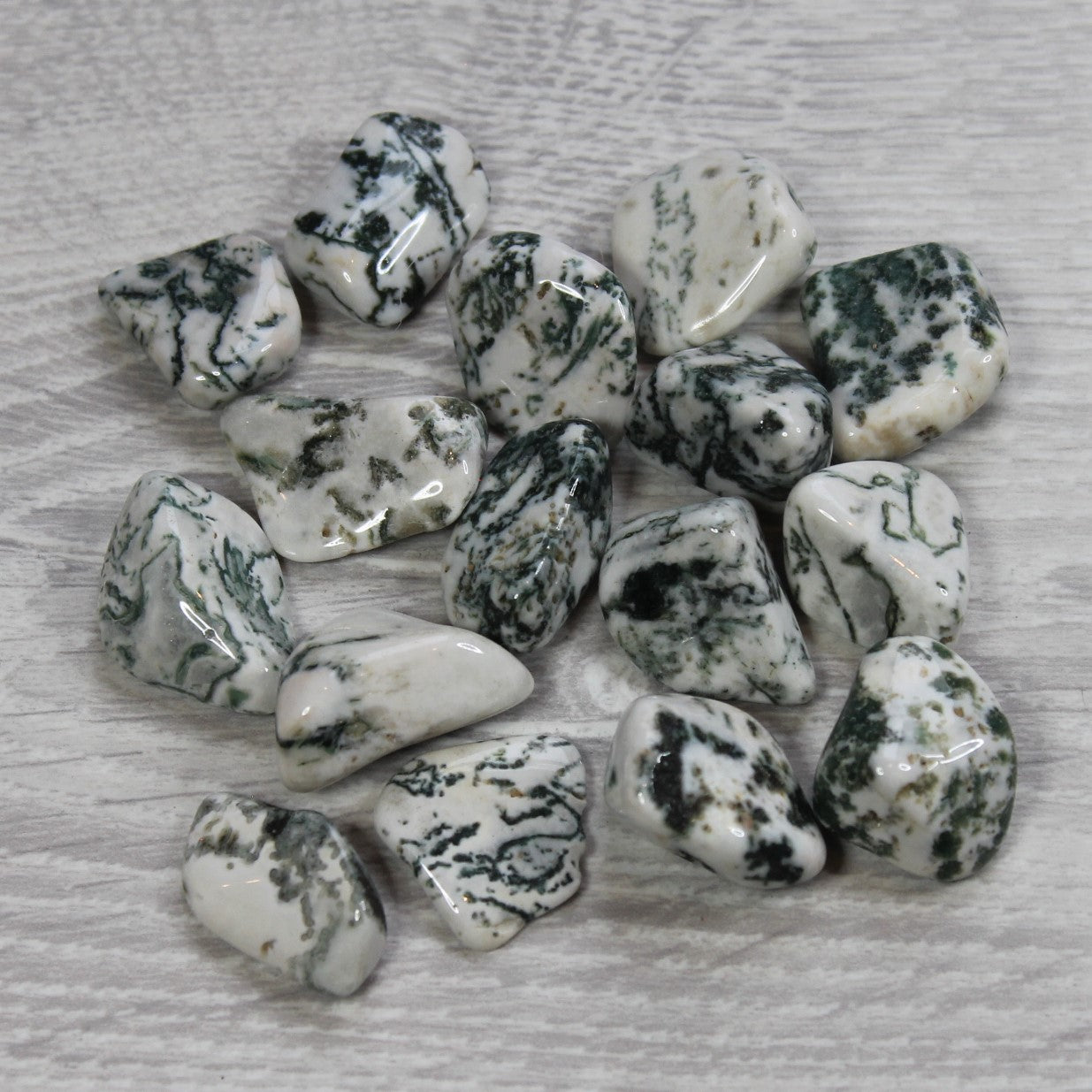 TREE AGATE Tumblestone image 0