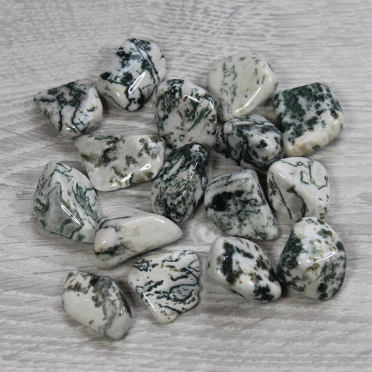 TREE AGATE Tumblestone image 0