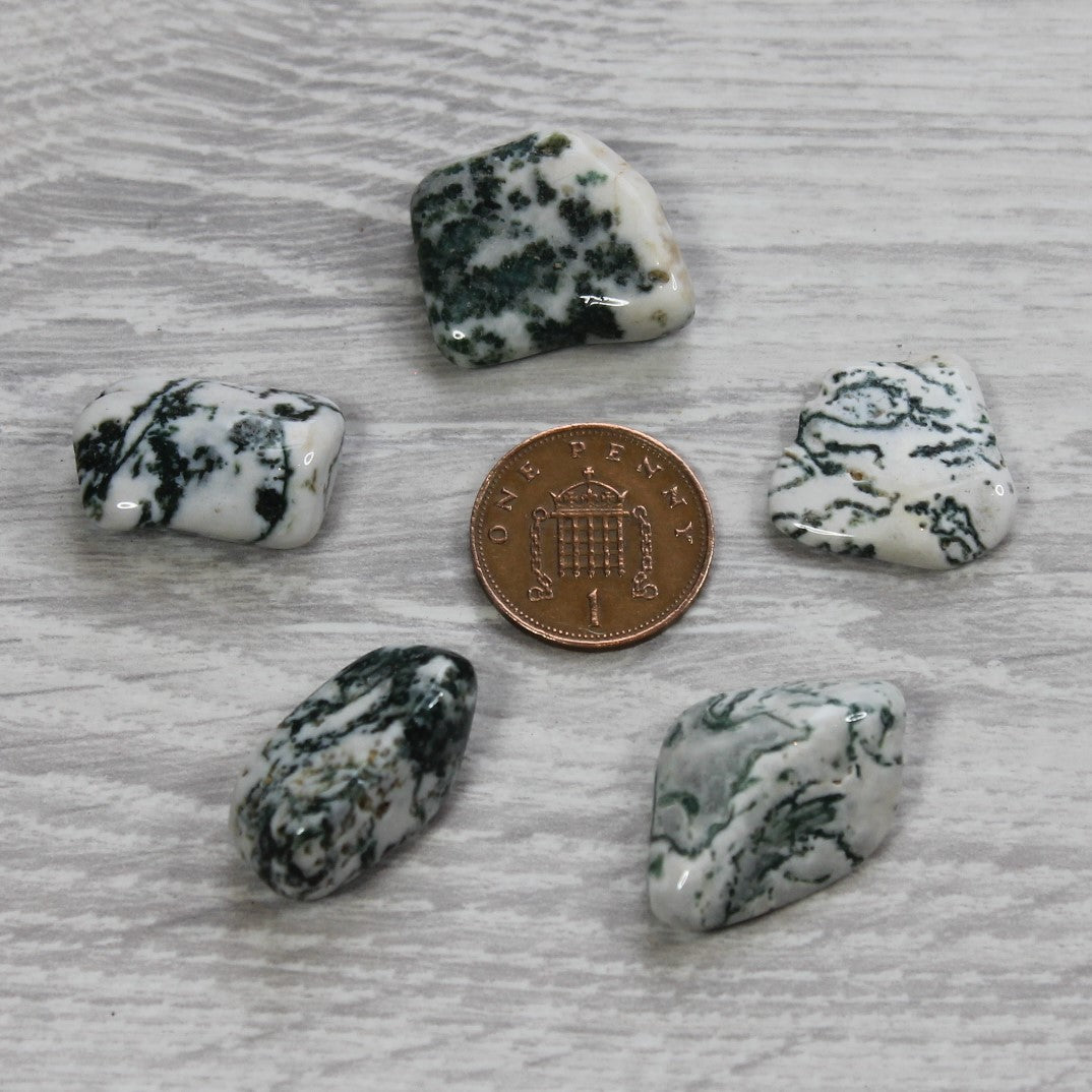 TREE AGATE Tumblestone image 2