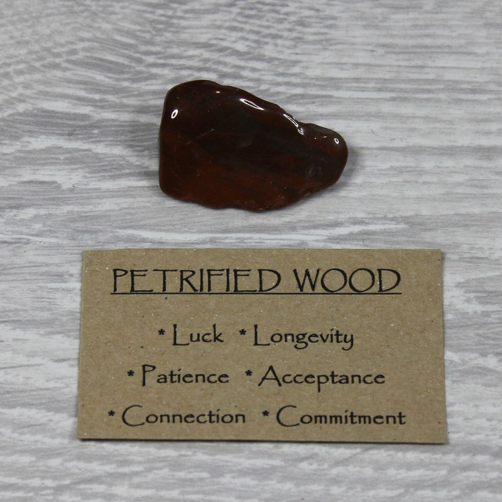 PETRIFIED WOOD Tumblestone image 1