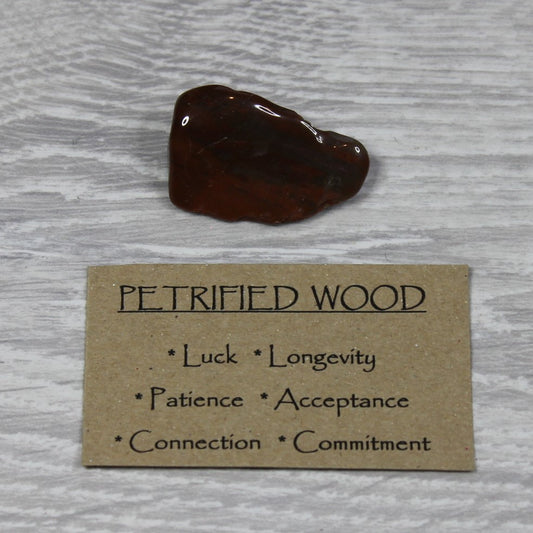 PETRIFIED WOOD Tumblestone image 1