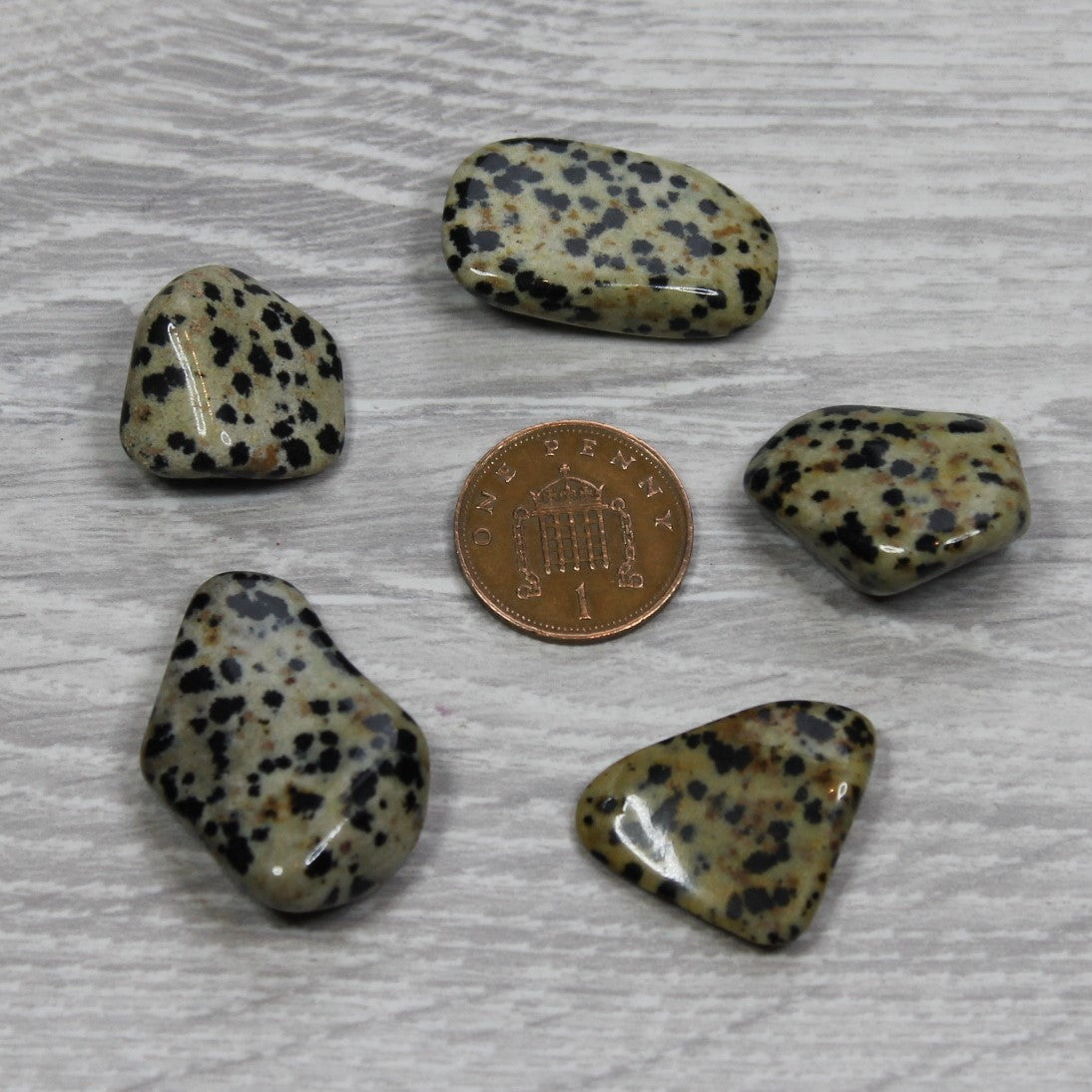 DALMATIAN JASPER Tumblestone image 2